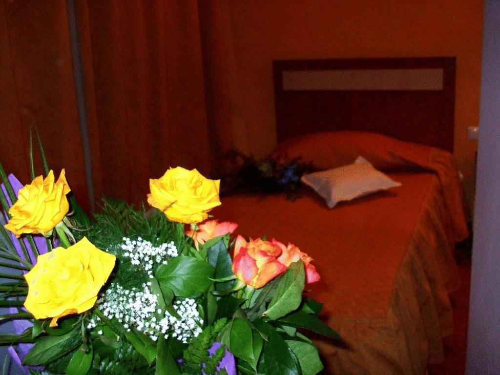Hotel Ambassador Baia Mare Exterior photo